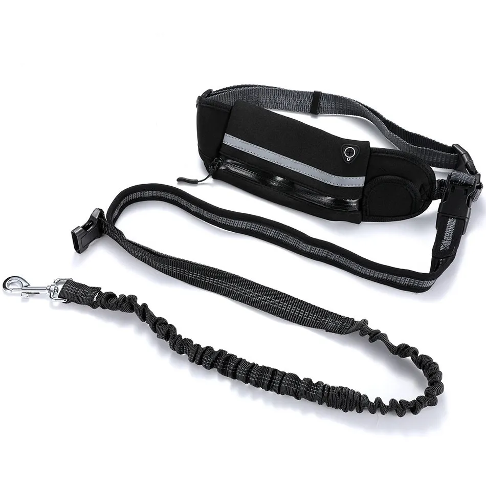 cat walking leash