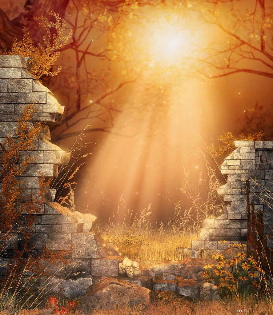 

Vinyl Custom Photography Backdrops Prop Digital Printed Fairy tale theme Photo Studio Background NTHU-441