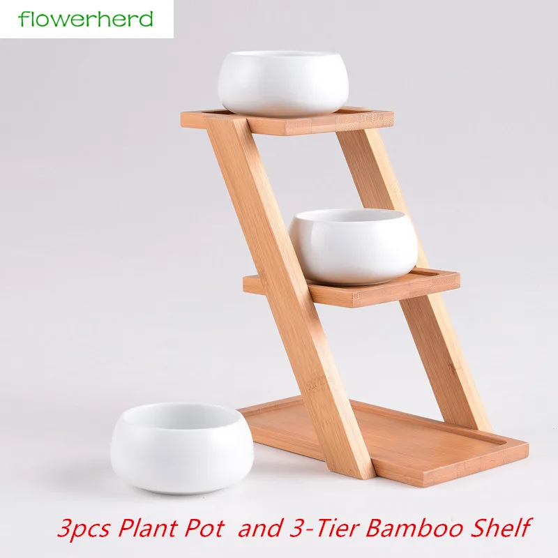 Modern Minimalist White Ceramic Flowerpot Succulent 3 Bonsai Planters Pot with 3-Tier Bamboo Shelf Home Garden Decor | Дом и сад