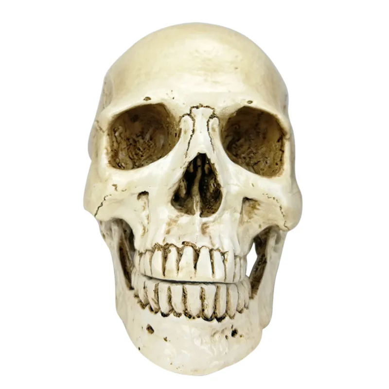 1:1 череп человеческая голова Смола Реплика Lifesize Хэллоуин украшение дома декоративное ремесло