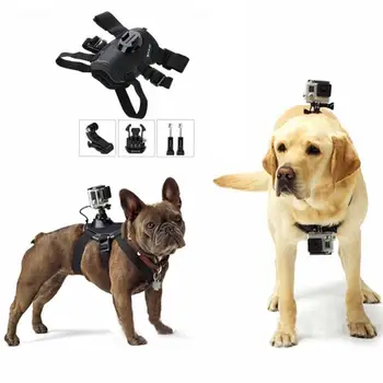 

GoPro Dog Harness Sport Camera Elastic Band Back Chest Strap Belt For Large Dogs Outdoor Walking Surfing Pet Supplies