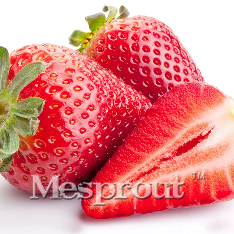 

50 PCS Strawberry Bonsai Patio And Garden Potted red Strawberry Plants Flowers Fruit Bonsai