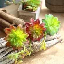 Micro Landscape Artificial Succulents Plants Grass Desert Fake Flower Artificial Plants Ornament Home Garden Decoration DF68579