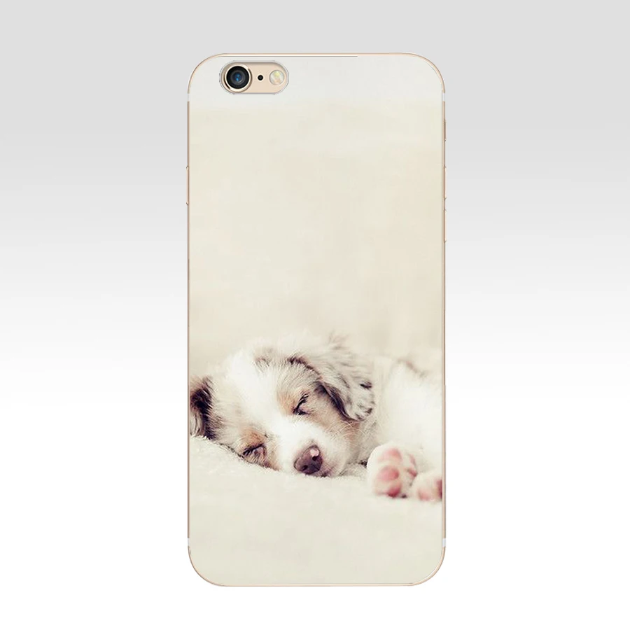 85 ZX миниатюрный Schnauzer чехлы для телефонов Iphone 7 6 6S 8 Plus чехол чехлы|Бамперы| |