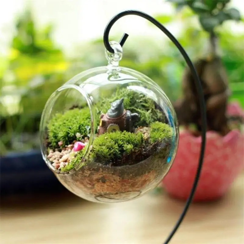 

Creative Clear Glass Ball Vase Micro Landscape Air Plant Terrarium Succulent Hanging Flowerpot Container