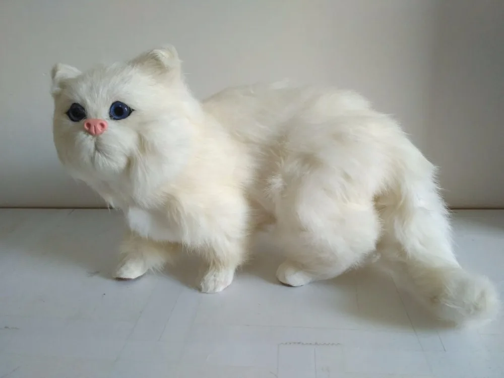 24 -  - 
