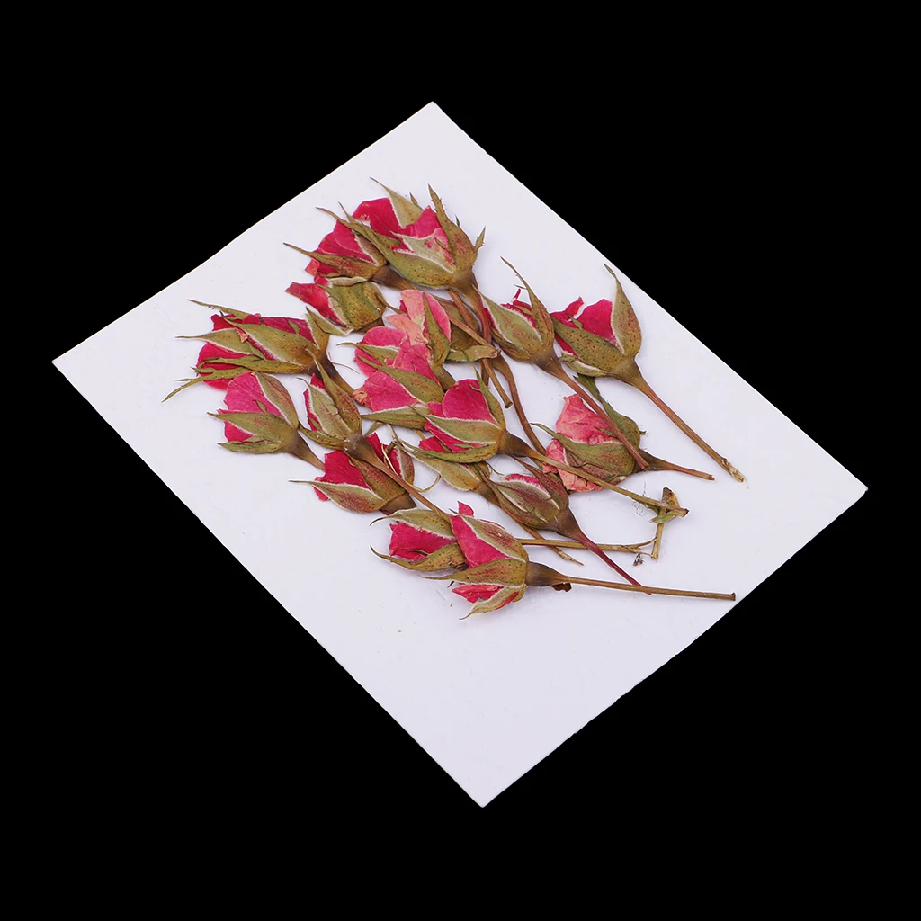 20x Pressed Natural Dried Flower Rose Flower Embellishment for DIY Phone Case Decoration DIY Handmade Home Ornament Craft