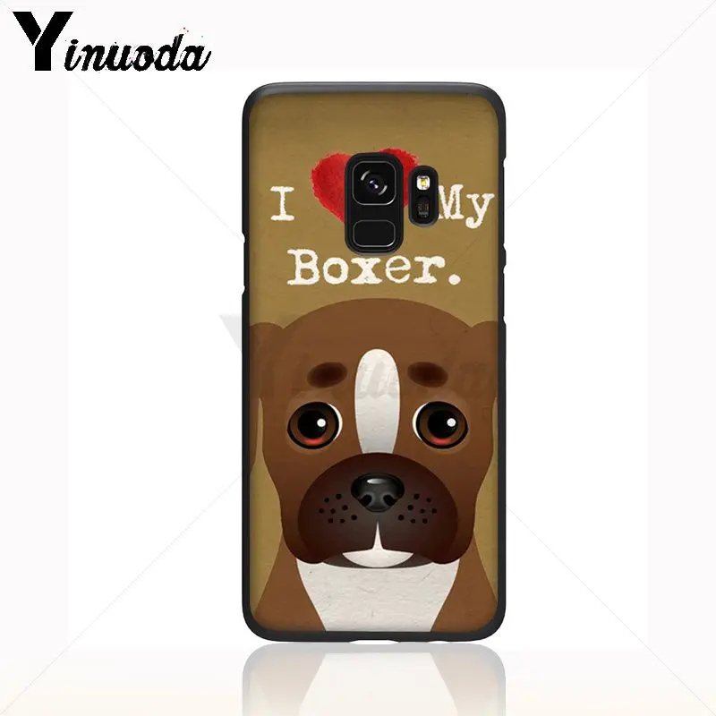 pug dog animal