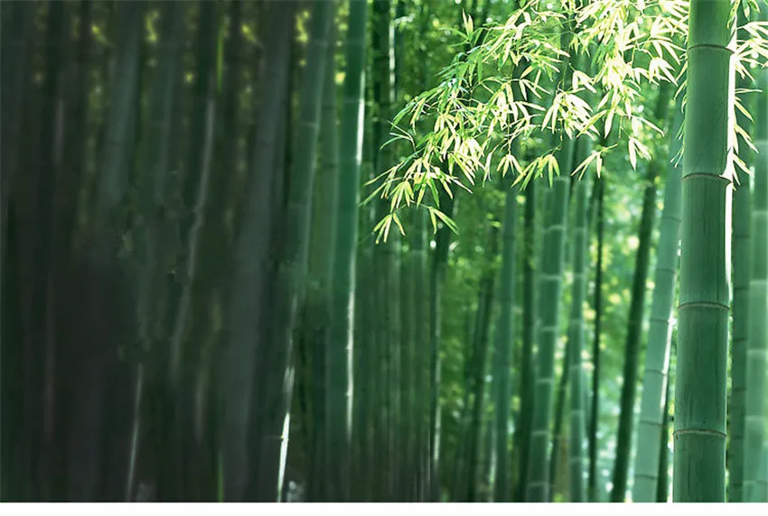 HTB1aud4c2DH8KJjy1Xcq6ApdXXae