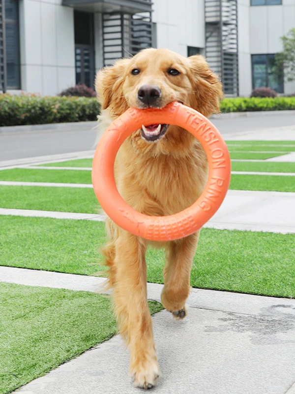 Interactive Dog Toys | Dog Ring Toy | Dog Training Toys