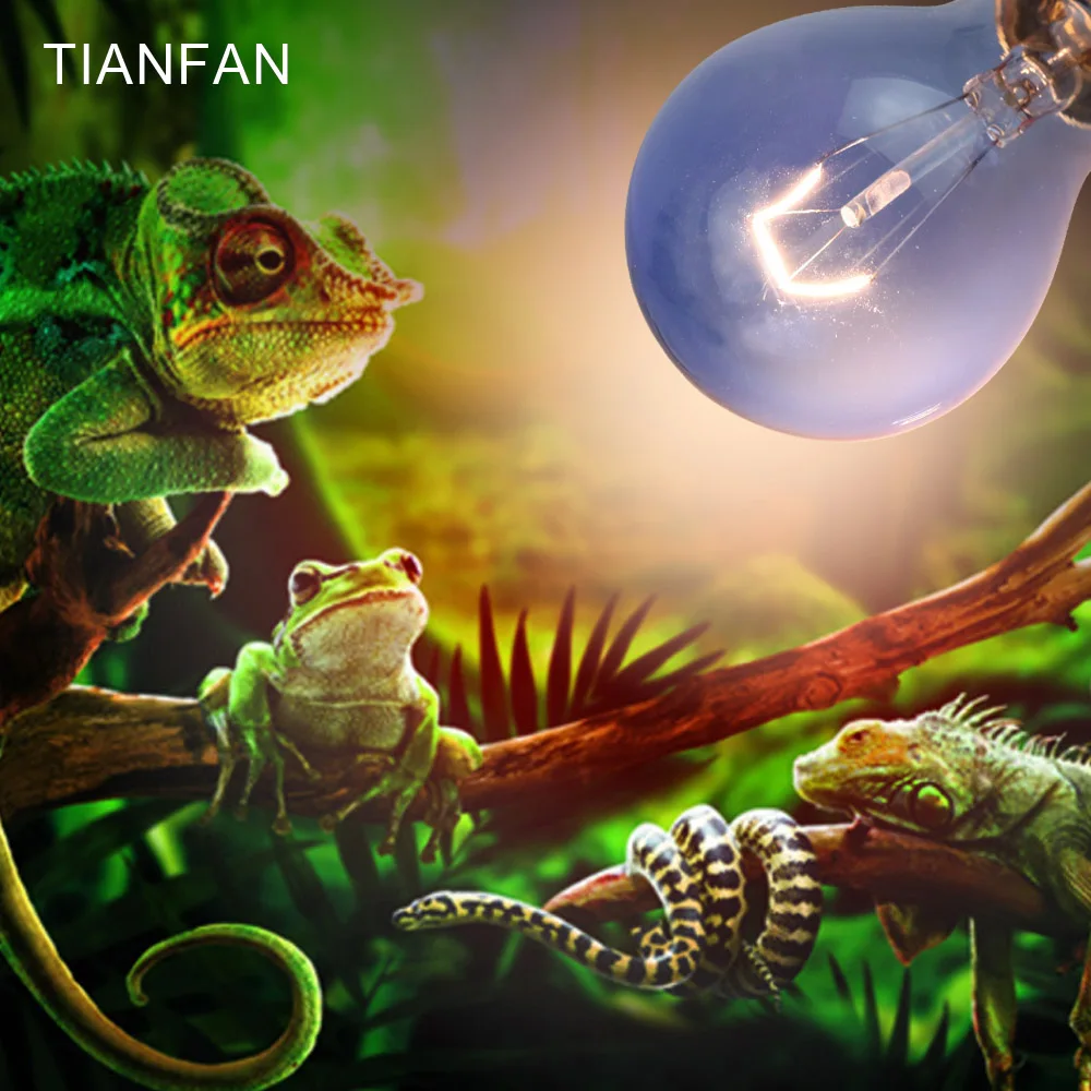 TIANFAN A60 Infrared Heat Lamp E27 220 240V 40W With Blue Glass For