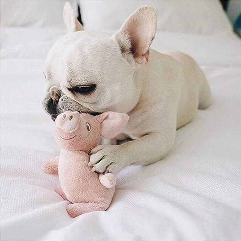 

French Bulldog sleep partner Standing pig Corgi Poodle Bichon frise Pet dog plush toys