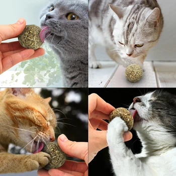 Natural Menthol Flavor Treat Ball Catnip 1