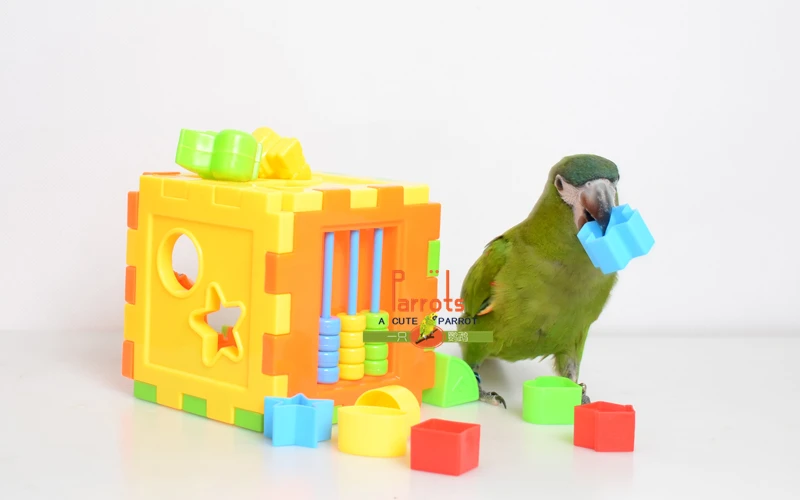 Попугай головоломка строительный блок птица интеллект обучение развитие игрушки для Cockatiel Macaw Попугайчик DIY Часть Аксессуары игрушка