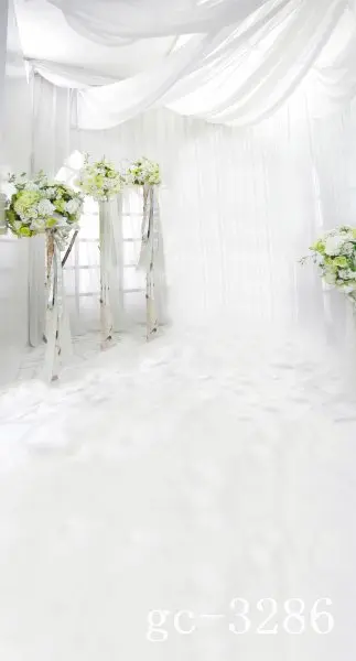 

5x10ft Vinyl Custom Photography Backdrops Props Photo Studio Backgrounds GC-3286
