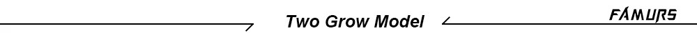Two-Grow-Model