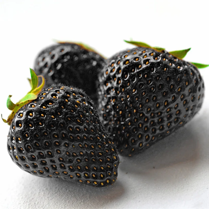 100 Healthy Black Strawberry Seeds ruit Fresh Exotic Seeds Good Taste