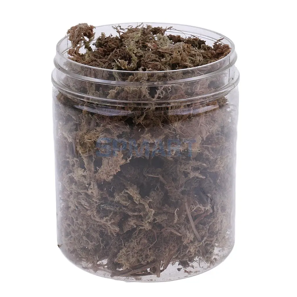 100ML/500ML Dry Grass Model Moss for Layout Terrain Vegetation Diorama Building Toy