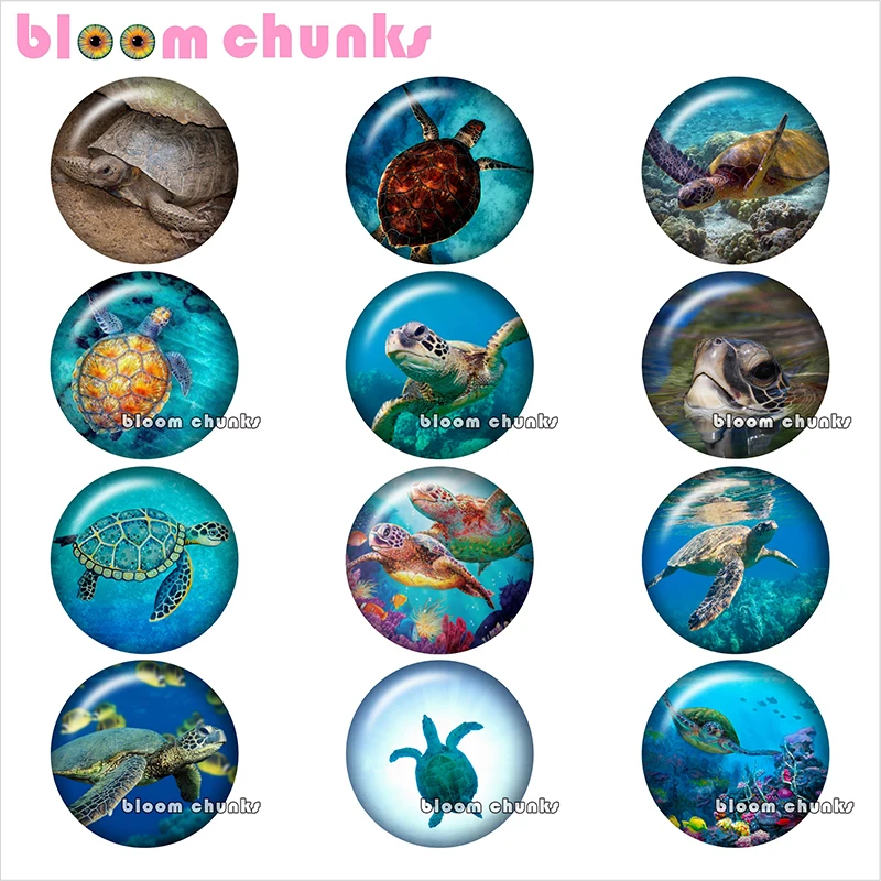 

Sea Turtles Ocean Round photo glass cabochon demo flat back Making findings 12mm/18mm/20mm/25mm TL1285