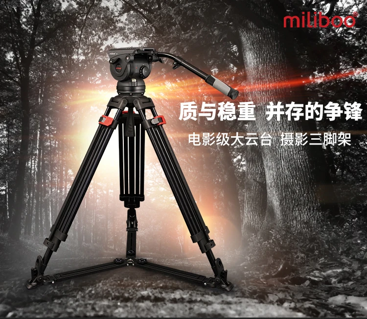 M8DL_01