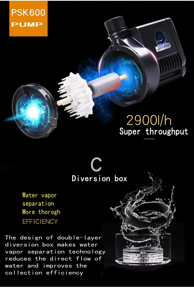 11_conew1