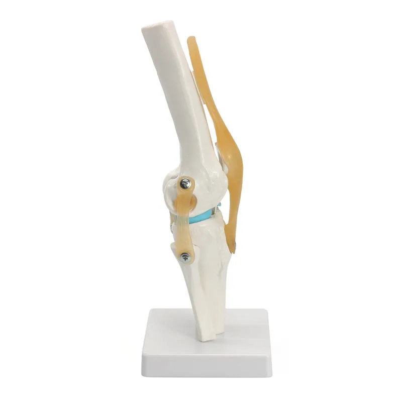 rB9kflmuDbWAWF-FAACa1ChjrZY219