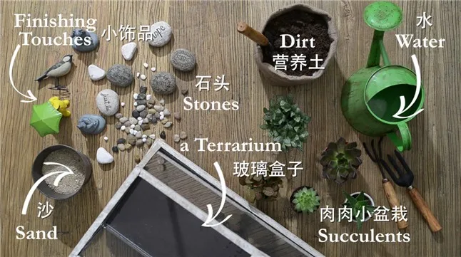 Terrariums5
