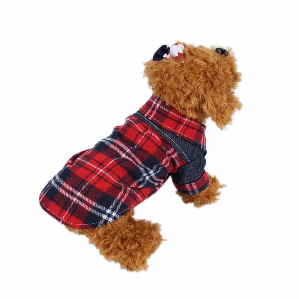 dog clothes (2)