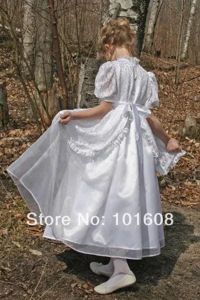 1860S Викторианский готический корсет/бальное платье в стиле южной красавицы для