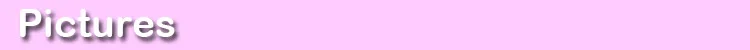 pink2