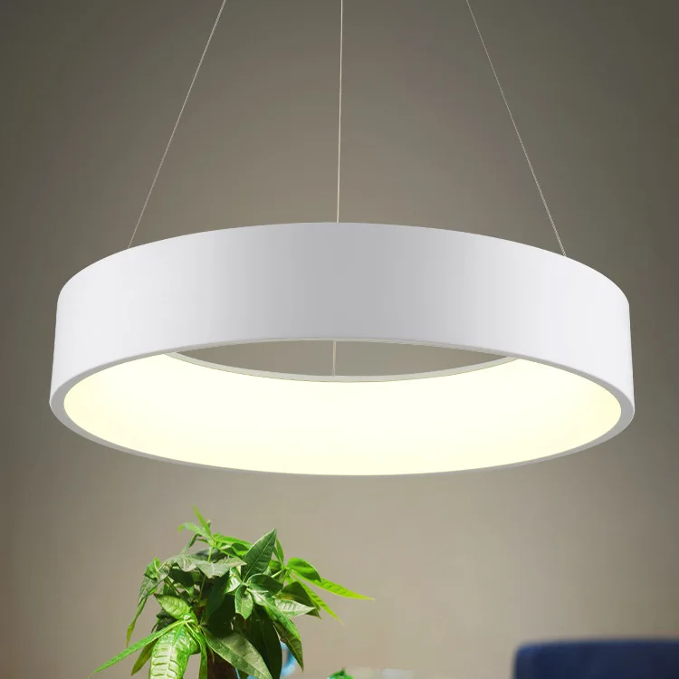 

Simple Circle Ring Lamp Modern Round LED Pendant Light For Dining Room Bedroom Hallway Home Decor Lighting Fixture