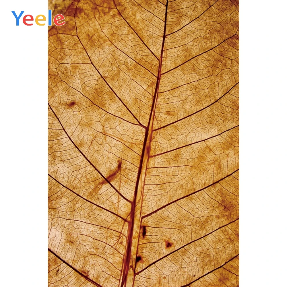

Yeele Autumn Yellow Leave Vein Abstract Portrait Photography Backgrounds Customized Photographic Backdrops for Photo Studio