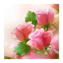 5d на заказ Алмазная картина розовая роза вышивка крестиком Санта Клаус Снеговик hibah домашний декор diy pintura Алмазная мозаика Круз фильм