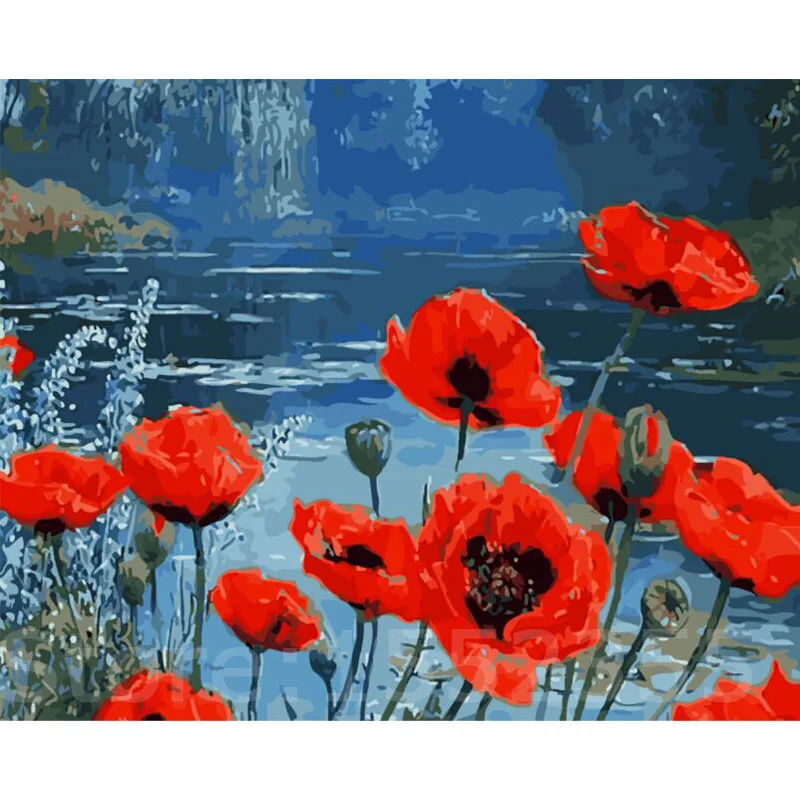 

Poppies Flowers Diy Oil Painting By Numbers On Canvas 40X50cm Frameless Wall Digital Painting In The Living Room Red Flower E487