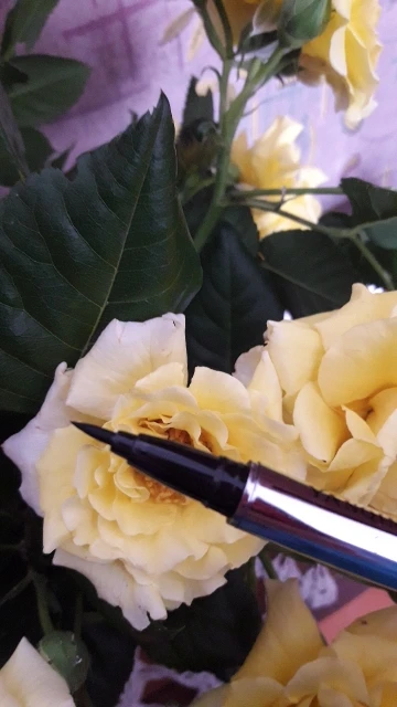 UTB8CMBNe1vJXKJkSajhq6A7aFXa0