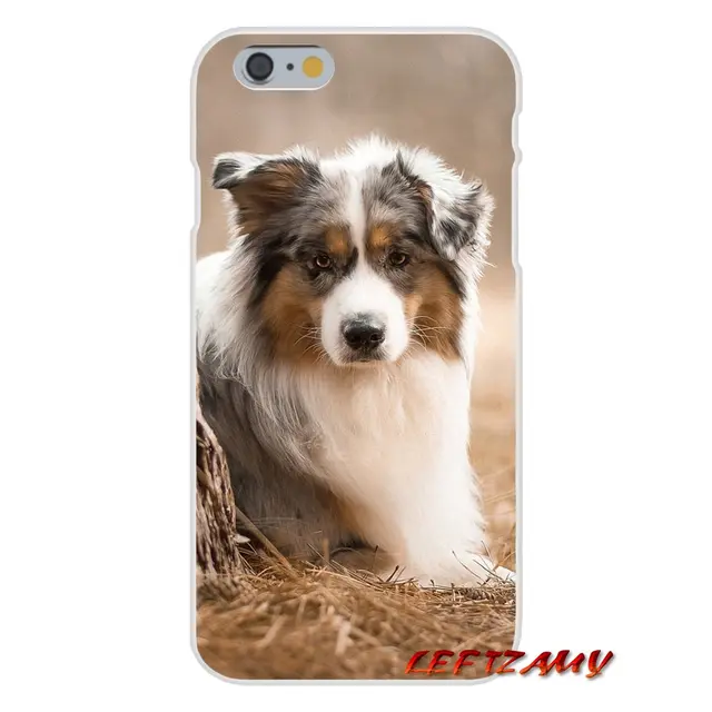 Us 099 Australian Shepherd Shiba Inu Dog Silicone Phone Shell Cover For Iphone X Xr Xs Max 4 4s 5 5s 5c Se 6 6s 7 8 Plus Ipod Touch 5 6 In