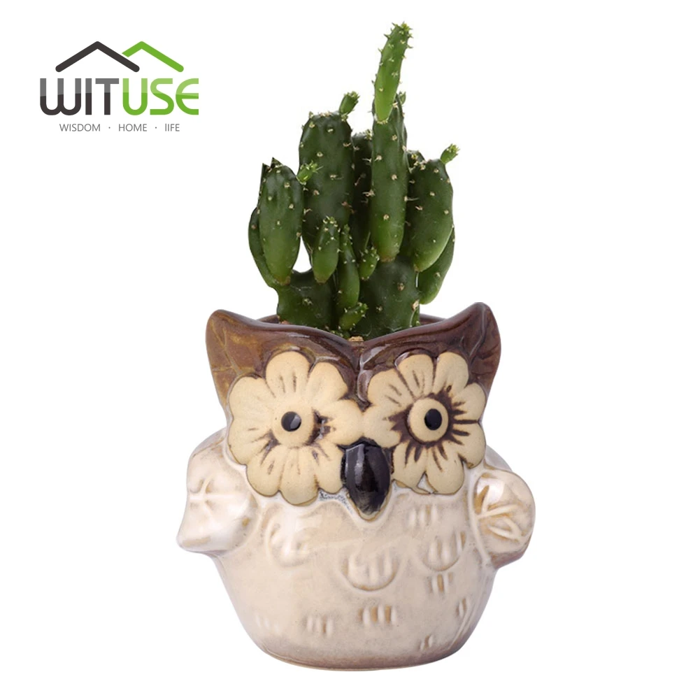 810 Gambar Warna Burung Hantu HD