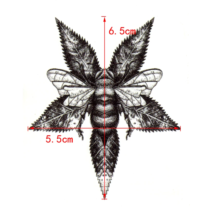 ls001-1