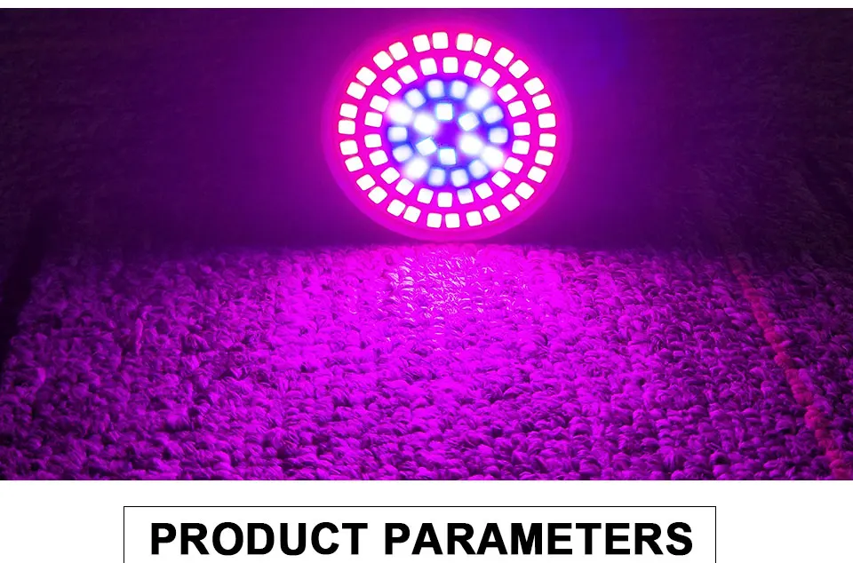 phyto lamp (9)