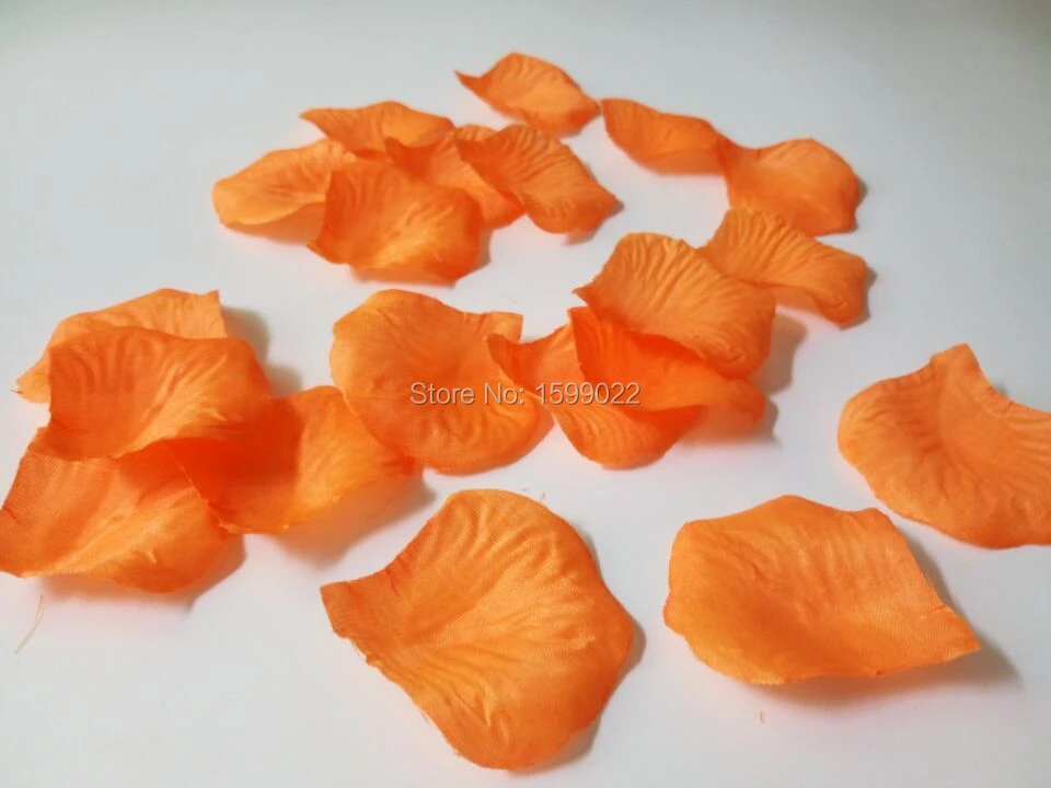 Dashiatere 10packs 1000pcs Artificial Silk Polyester Silk Flower Petals