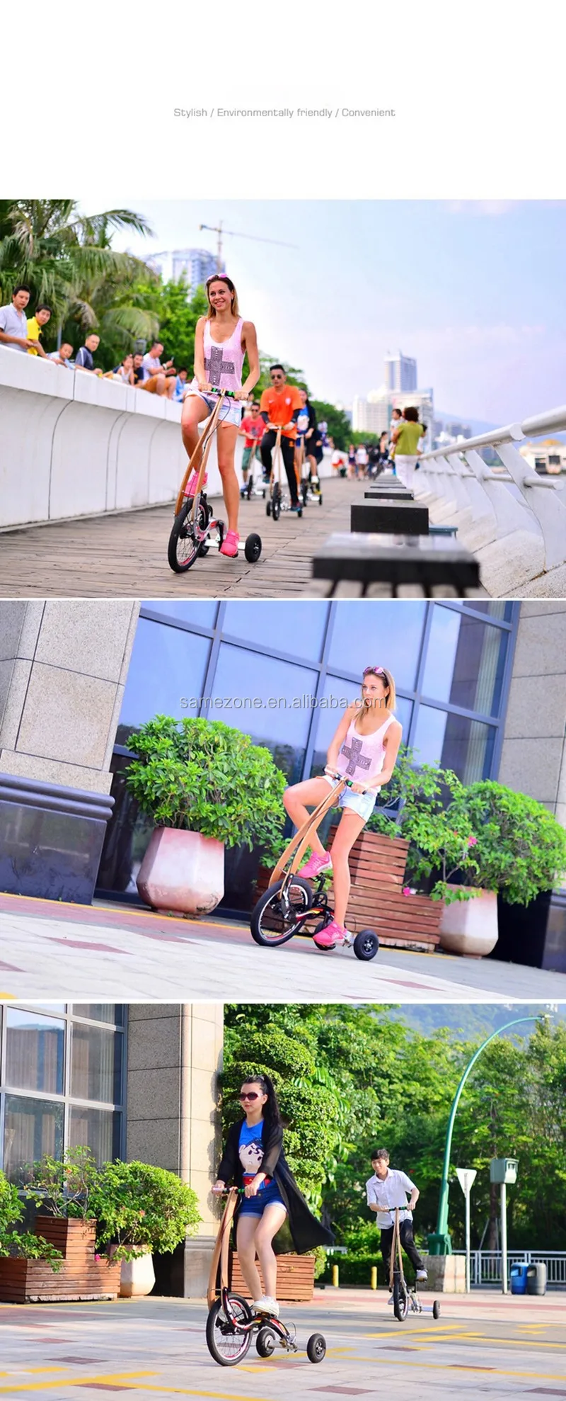 3 wheel fit bike (7).jpg