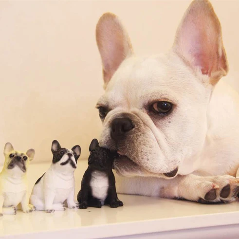 

ESTARTEK Real Animal Series Resin French Bulldog Bust Statue Little Puppy Dog Collection Garage Kit for Fans Holiday Gift