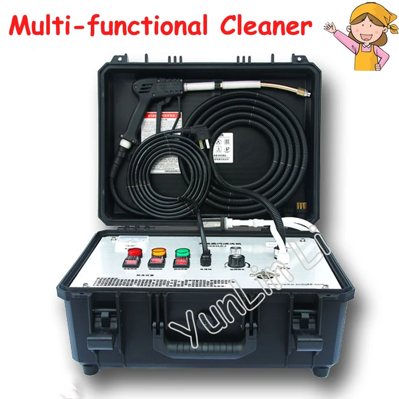 Buy High Temperature Steam Cleaning Machine Portable