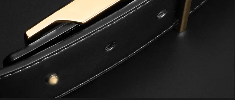 LU595B (13)