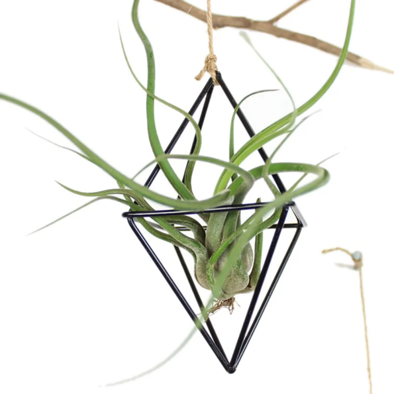VB0580 (6)