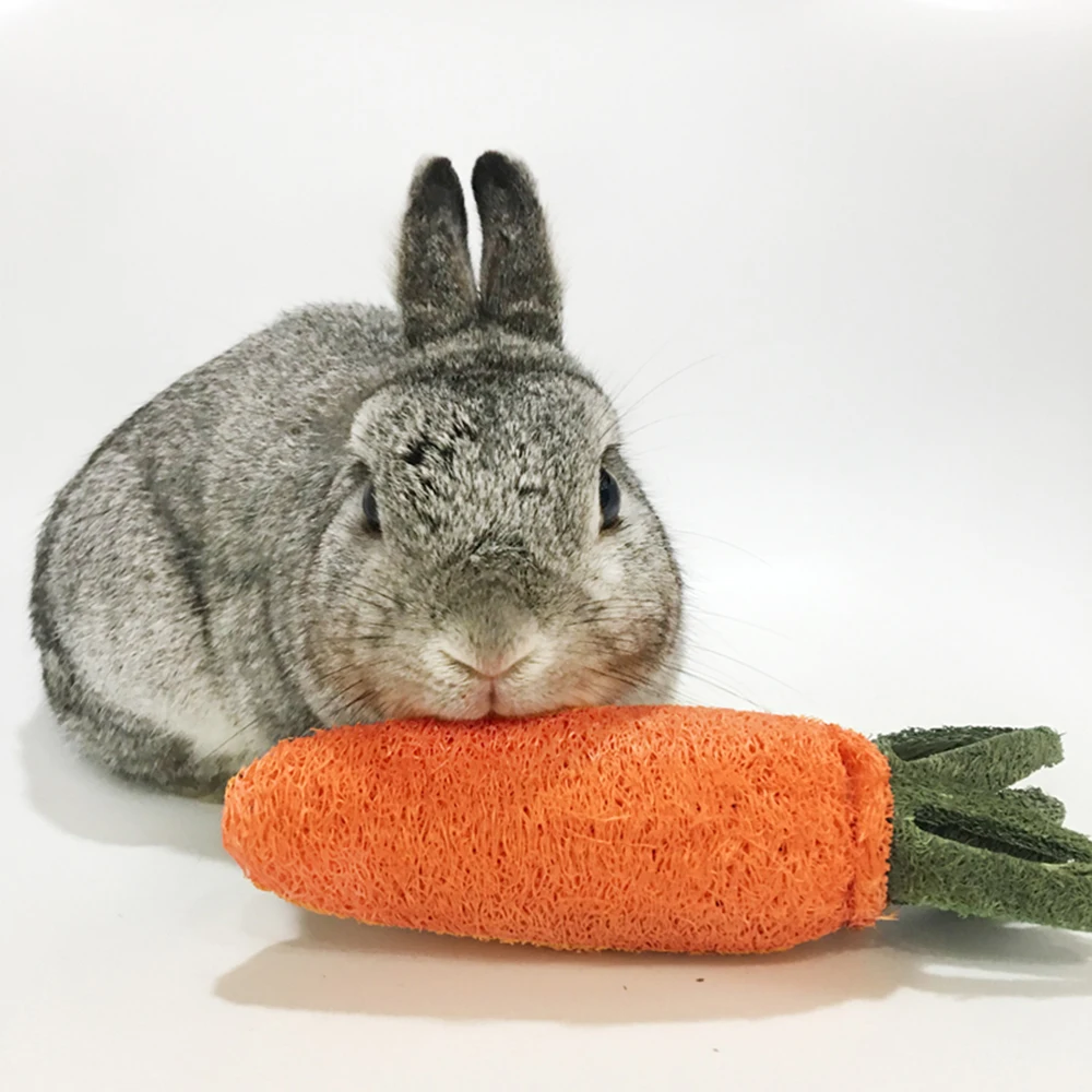 Хомяк жевательная игрушка люфа губка морковь для кролика морская свинка игрушка Шиншилла для чистки зубов редиска молярные игрушки товары для домашних животных