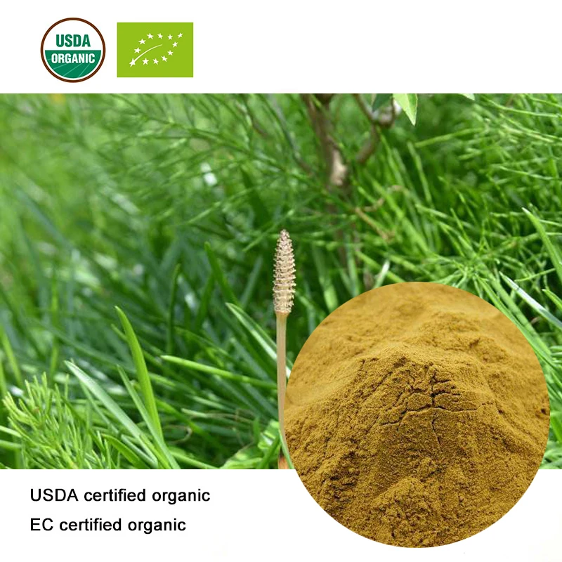 

USDA and EC Certified organic horsetail extract 10:1