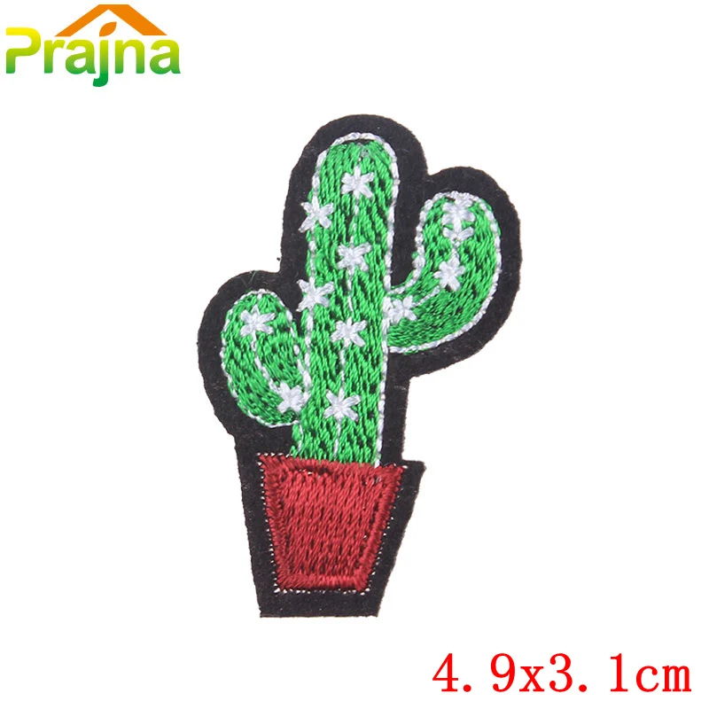PE0501CT