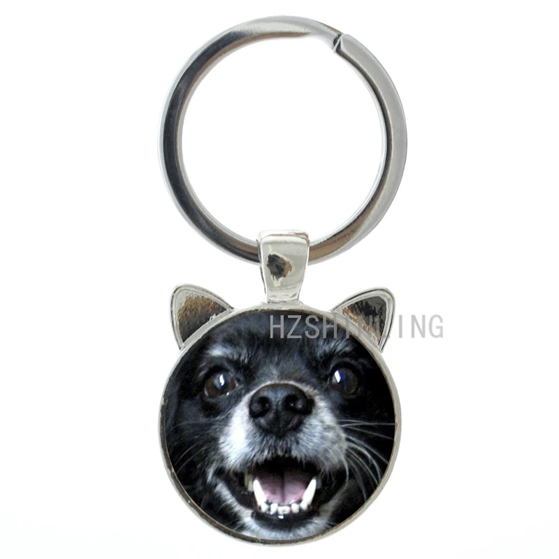 

Pretty cute small dog daily puppy keychain vintage Papillon French breed dogs Dachshund Rough Collie key chain ring holder CN759