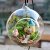 Soporte transparente para planta de flores, terrario florero colgante, contenedor de vidrio hidropónico, decoración para hogar, oficina, boda ► Foto 2/5